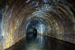 Lillesdon-tunnel7