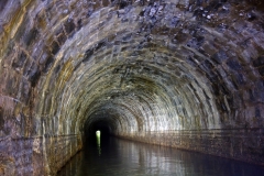 Lillesdon-tunnel8