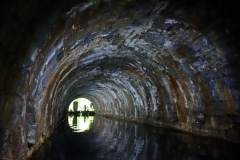 Lillesdon-tunnel9