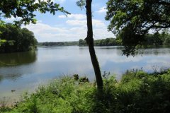 11.-Looking-downstream-from-North-Bank