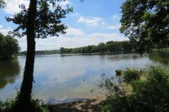 12.-Looking-downstream-from-North-Bank