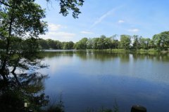 13.-Looking-downstream-from-North-Bank