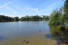20.-Looking-to-dam-wall-from-Reservoir-Copse