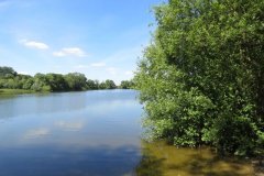 21.-Looking-to-dam-wall-from-Reservoir-Copse