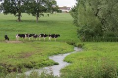 River Isle Tributaries