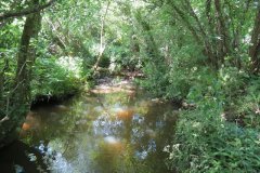 25.-Upstream-from-Woodhouse-sluice