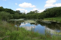 26.-Woodhouse-Pond