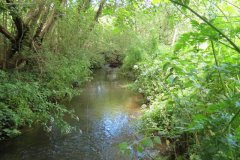 32.-Downstream-from-Sunshine-Mill-bridge-ROW-No.-1680