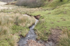 38. Looking downstream from Chetsford Bridge