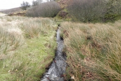 40. Downstream from Chetsford Bridge