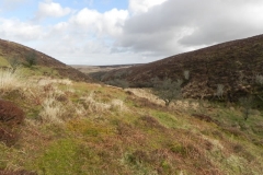 41. Looking downstream