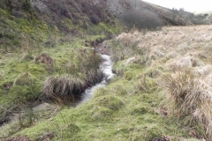 42. Downstream from Chetsford Bridge