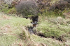43. Downstream from Chetsford Bridge