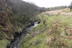44. Downstream from Chetsford Bridge