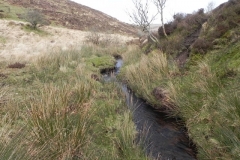 45. Downstream from Chetsford Bridge