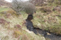 47. Downstream from Chetsford Bridge