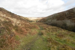 48. Looking downstream