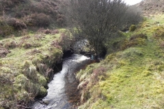 49. Downstream from Chetsford Bridge