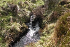 51. Upstream from confluence with Embercombe Water