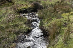 52. Upstream from confluence with Embercombe Water