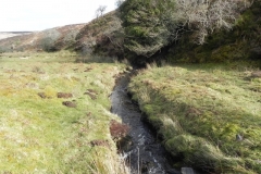 55. Upstream from confluence with Embercombe Water