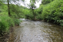 5 (7)-2000x1500