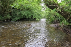 5 (8)-2000x1500