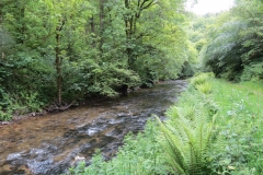 6 (48)-2000x1500