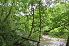 6 (6)-2000x1500