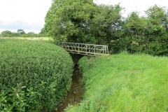 Chinnock Brook