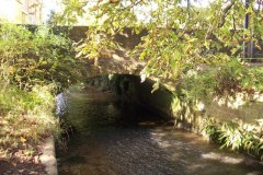 Chinnock Brook