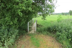 4.-ROW-bridge-upstream-from-River-Parrett-join