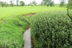 5.-Looking-downstream-from-ROW-bridge