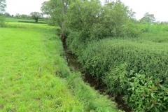 7.-Upstream-from-River-Parrett-join