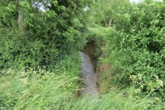 8.-Upstream-from-River-Parrett-join
