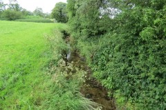 9.-Upstream-from-River-Parrett-join