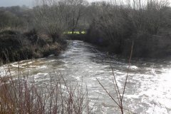 11.-Downstream-from-Mill