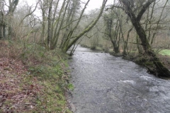 46. Hartford Bottom