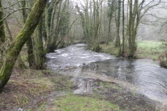 47. Hartford Bottom