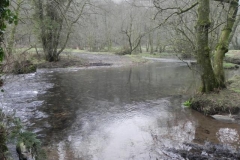 54. Downstream from Lower Clammer