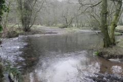 54. Downstream from Lower Clammer