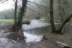 55. Downstream from Lower Clammer