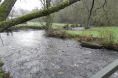 56. Downstream from Lower Clammer