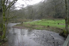 57. Downstream from Lower Clammer