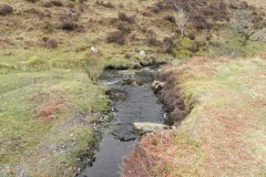 10. Flowing from Clannon Ball to Holcombe Burrows