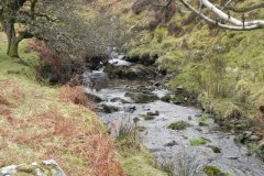 11. Flowing from Clannon Ball to Holcombe Burrows