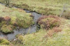 12. Flowing from Clannon Ball to Holcombe Burrows
