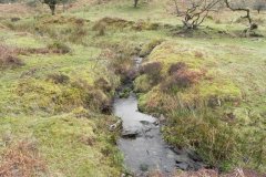 13. Flowing from Clannon Ball to Holcombe Burrows