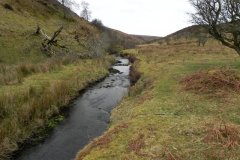 14. Flowing from Clannon Ball to Holcombe Burrows