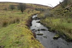 15. Flowing from Clannon Ball to Holcombe Burrows